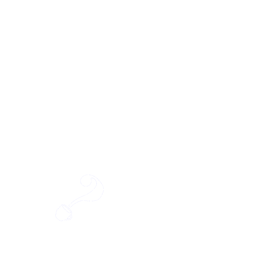お掃除のご依頼ですか？Are you  requesting  a rabbit?  