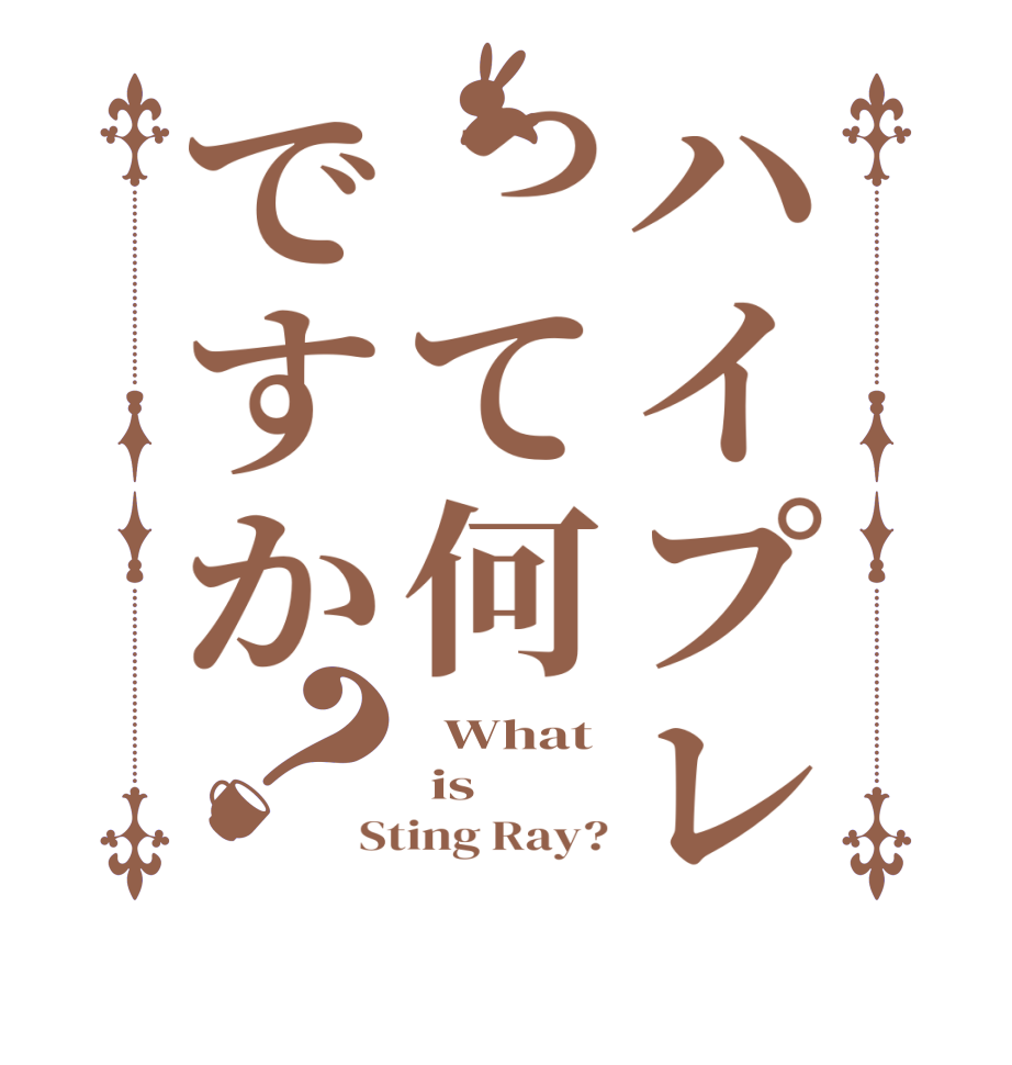 ハイプレって何ですか？  What  is Sting Ray?