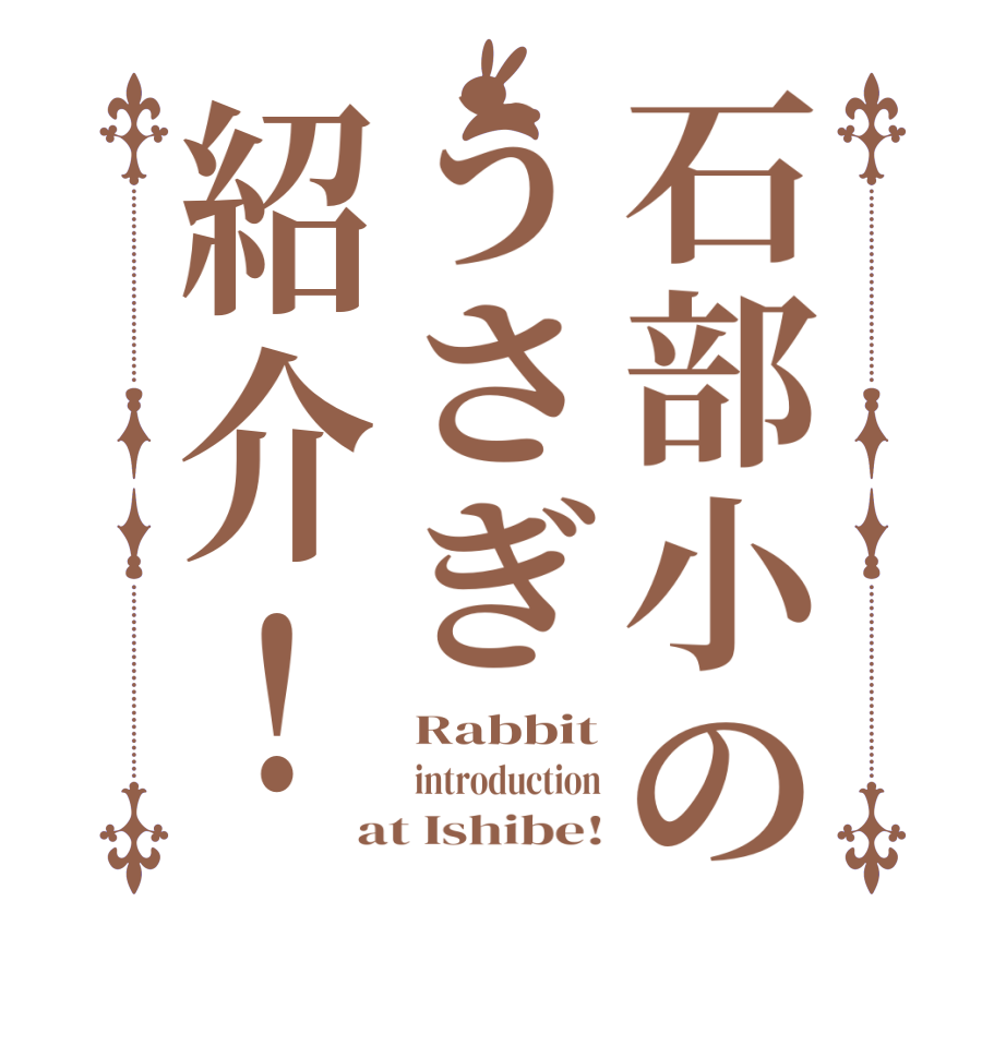 石部小のうさぎ紹介！Rabbit introduction at Ishibe!