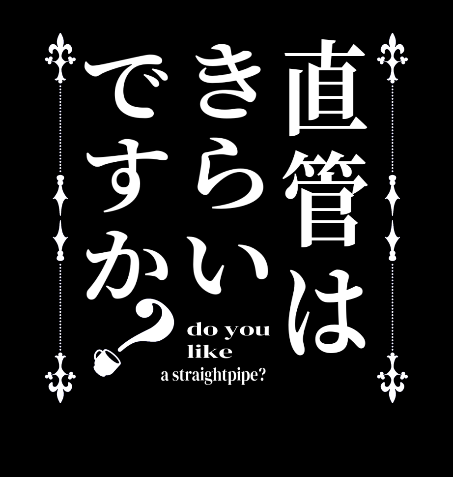 直管はきらいですか？do you like a straightpipe?  