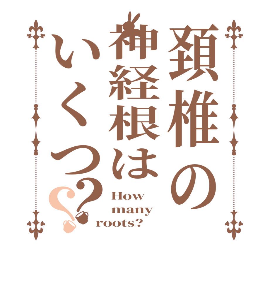 頚椎の神経根はいくつ？？How many roots?  