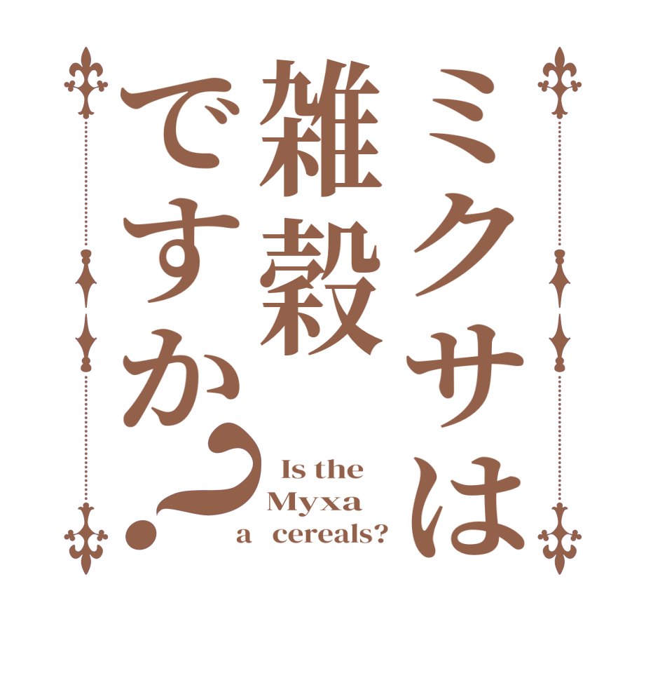 ミクサは雑穀ですか？  Is the    Myxa  a   cereals?