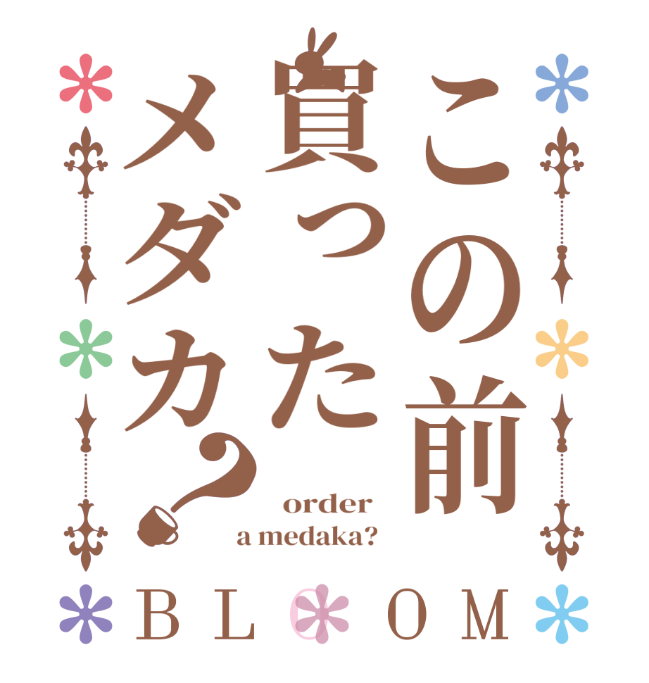 この前買ったメダカ？BLOOM    order    a medaka?  