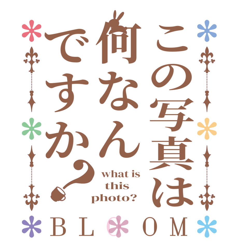 この写真は何なんですか？BLOOM  what is    this    photo?