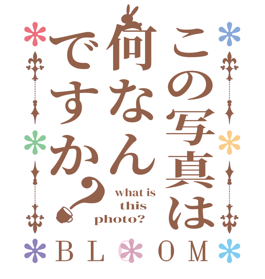 この写真は何なんですか？BLOOM   what is     this  photo?