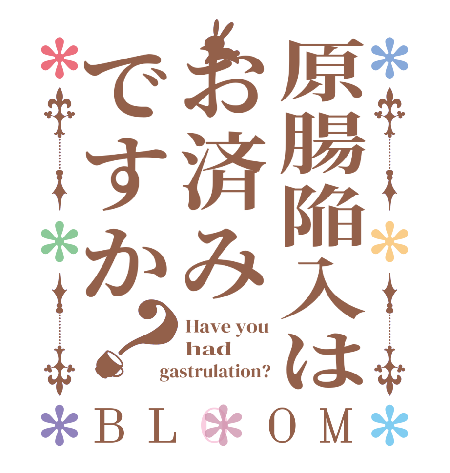 原腸陥入はお済みですか？BLOOM Have you had gastrulation?