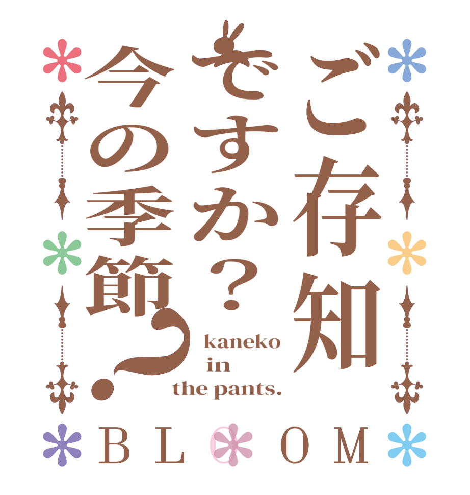 ご存知ですか？今の季節？BLOOM   kaneko   in   the pants.