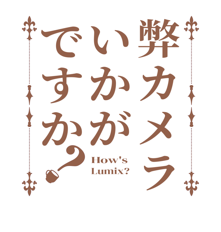 弊カメラいかがですか？How's Lumix?  