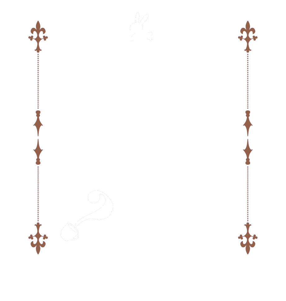 お話はディナーのあとで？  Is the      order    a rabbit?  