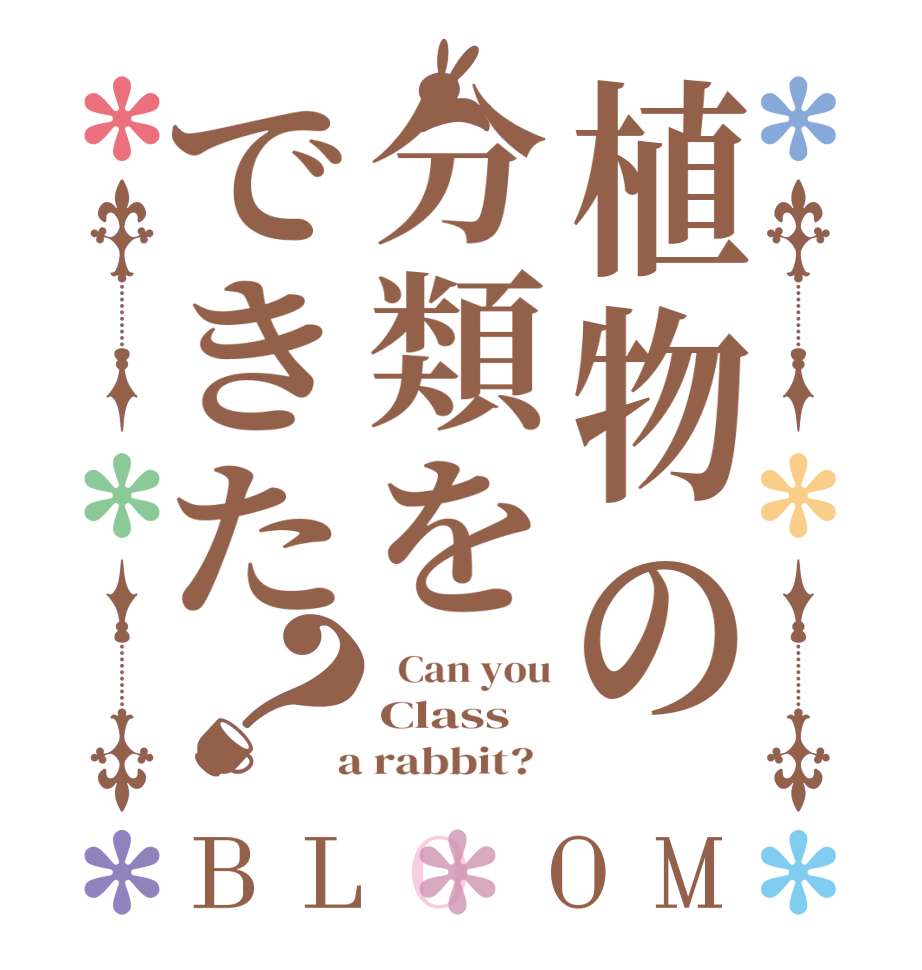 植物の分類をできた？BLOOM   Can you Class  a rabbit?  