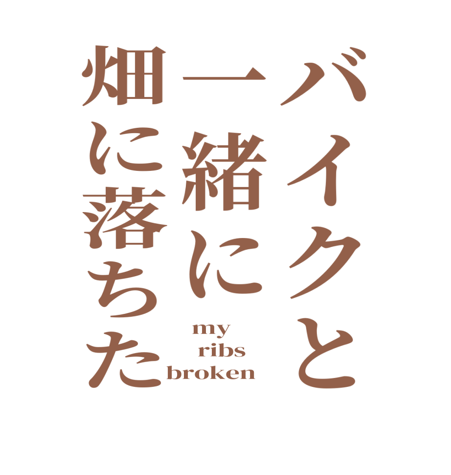 バイクと一緒に畑に落ちた my   ribs  broken