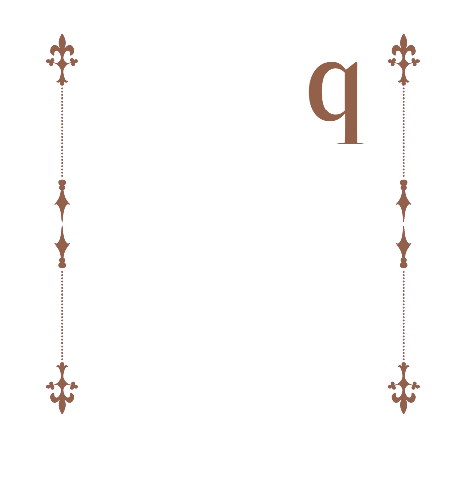 q　　     