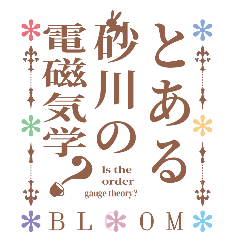 とある砂川の電磁気学？BLOOM   Is the      order    gauge theory?  