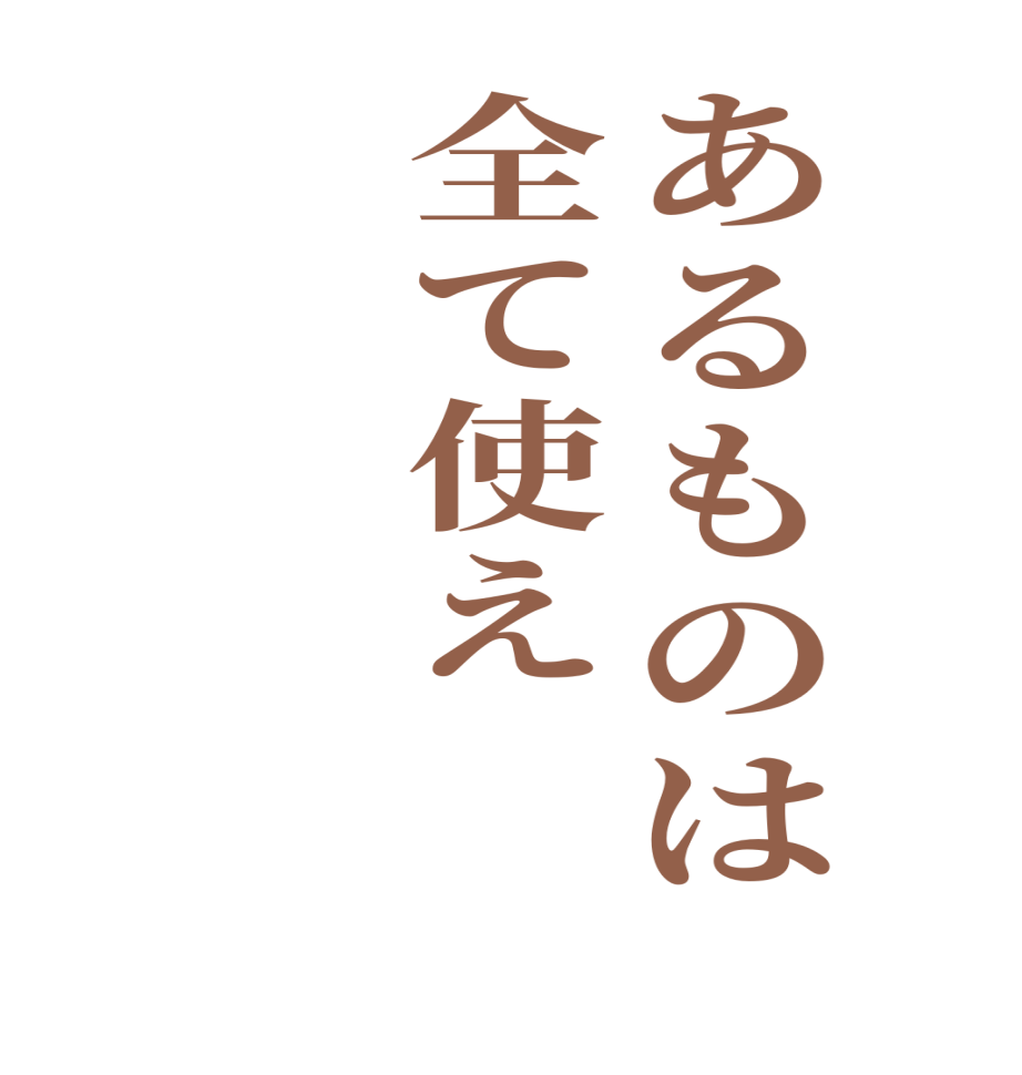 あるものは全て使え　  
