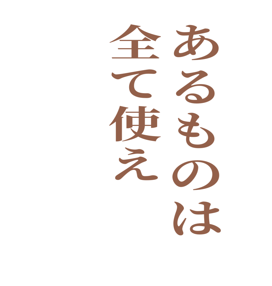 あるものは全て使え　       