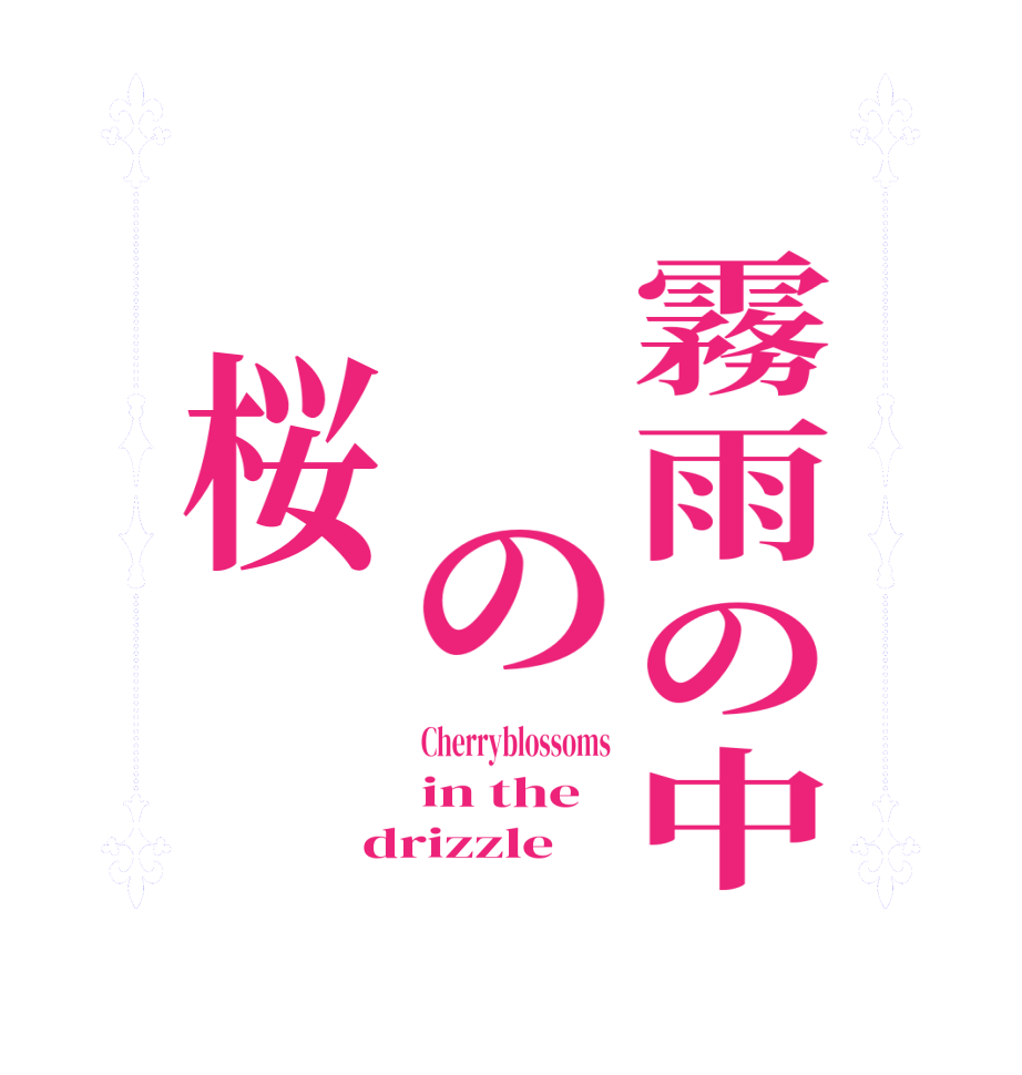 　霧雨の中　　の　桜Cherryblossoms in the  drizzle