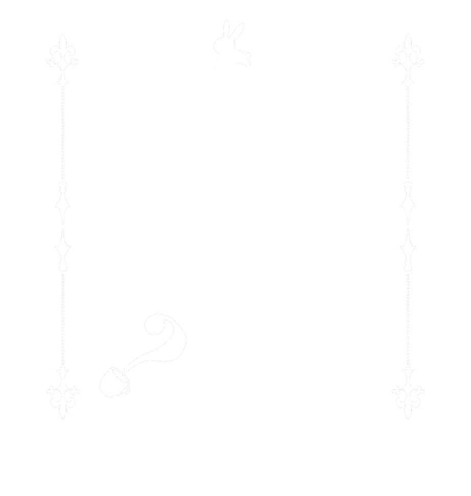 タコ入りお好み焼きはたこ焼きですか？  Is the      order    a rabbit?  