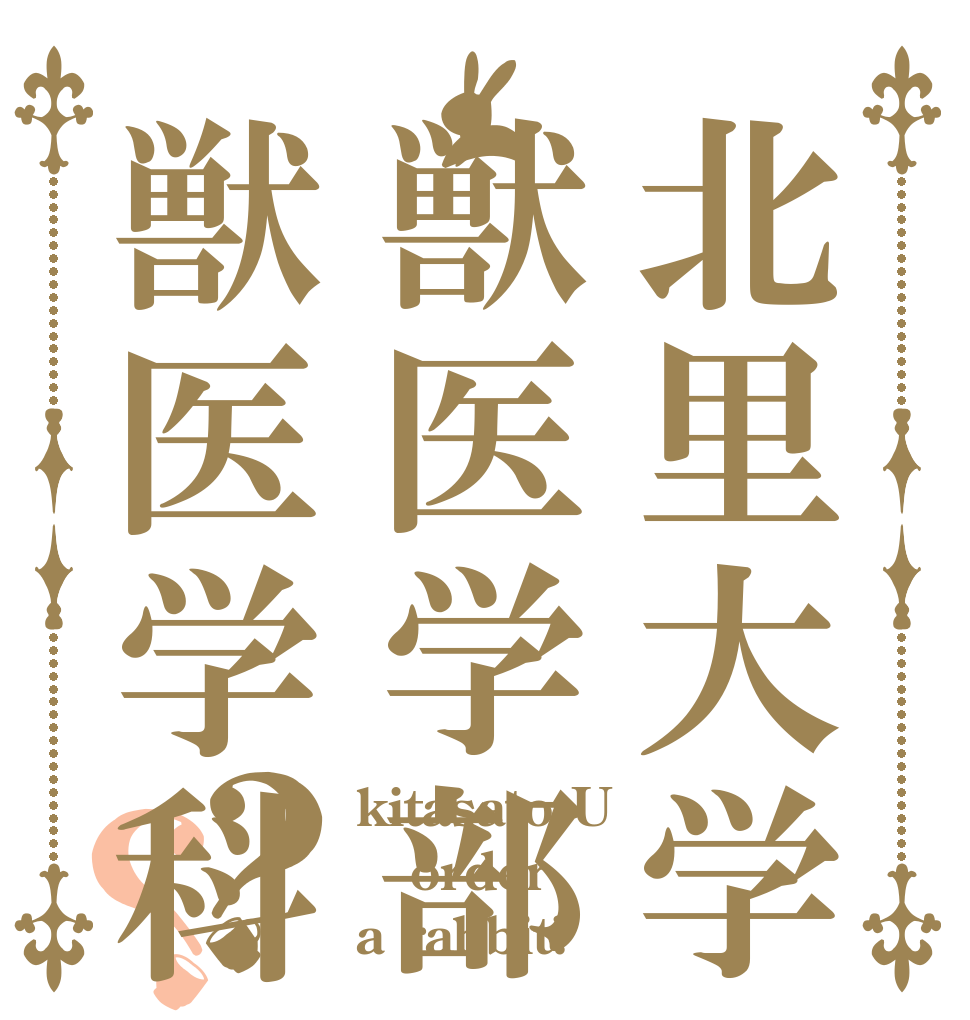 北里大学獣医学部獣医学科？？ kitasato U order a rabbit?
