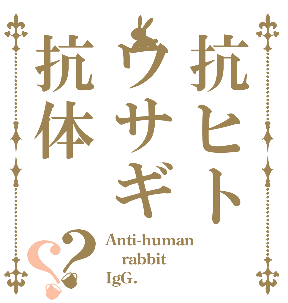 抗ヒトウサギ抗体？？ Anti-human rabbit IgG.