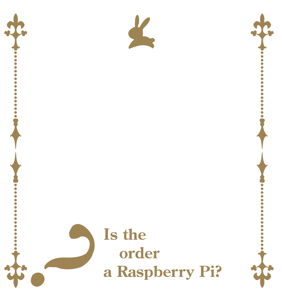？ Is the order a Raspberry Pi?