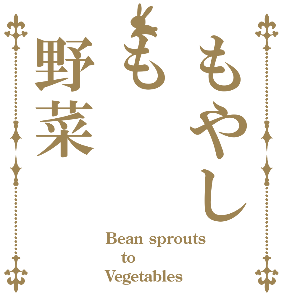 もやしも野菜 Bean sprouts to Vegetables