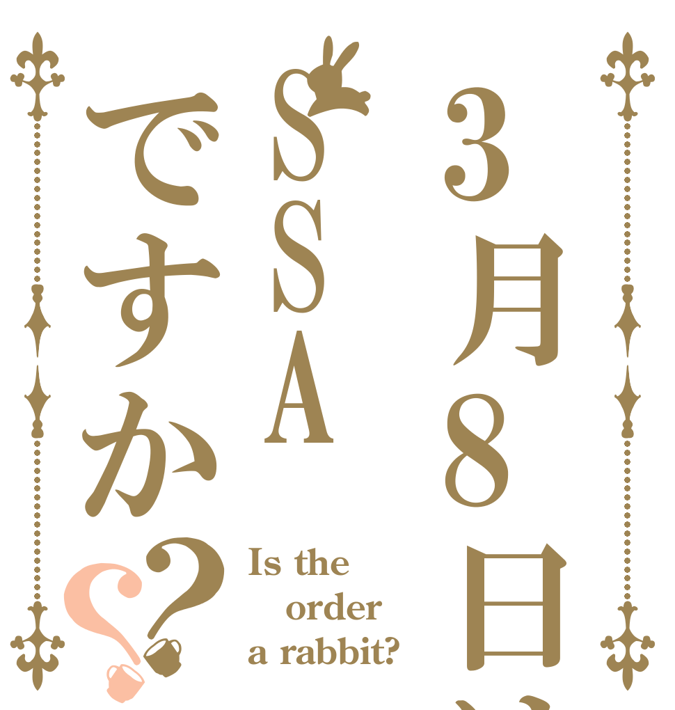 3月8日はSSAですか？？ Is the order a rabbit?