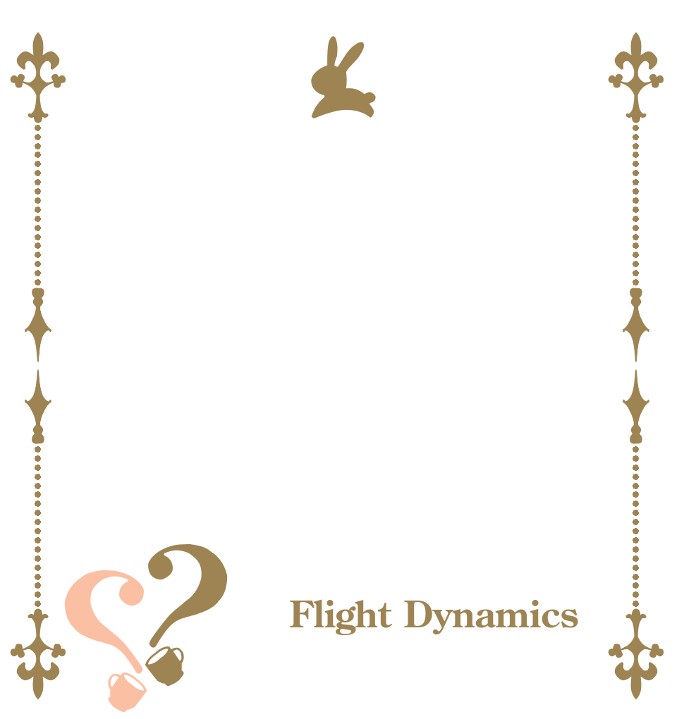 ？？  Flight Dynamics 