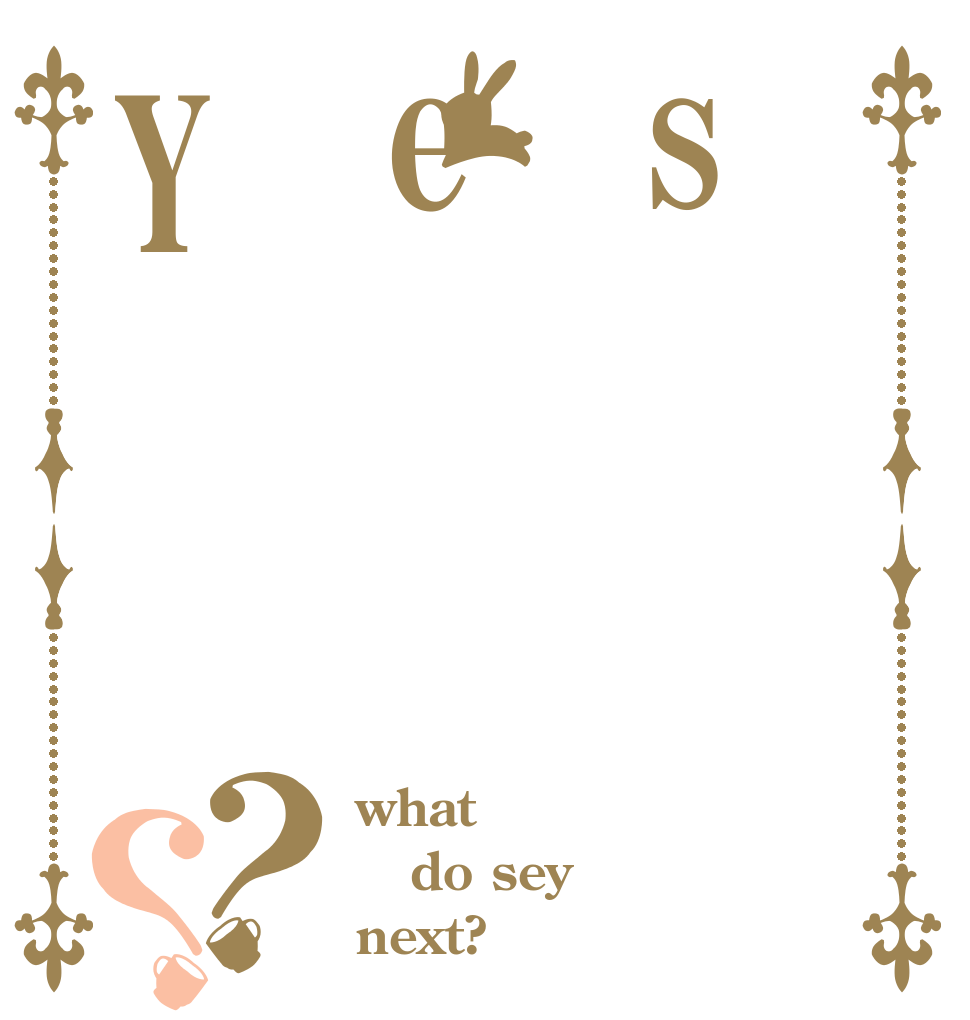 seY？？ what do sey next?