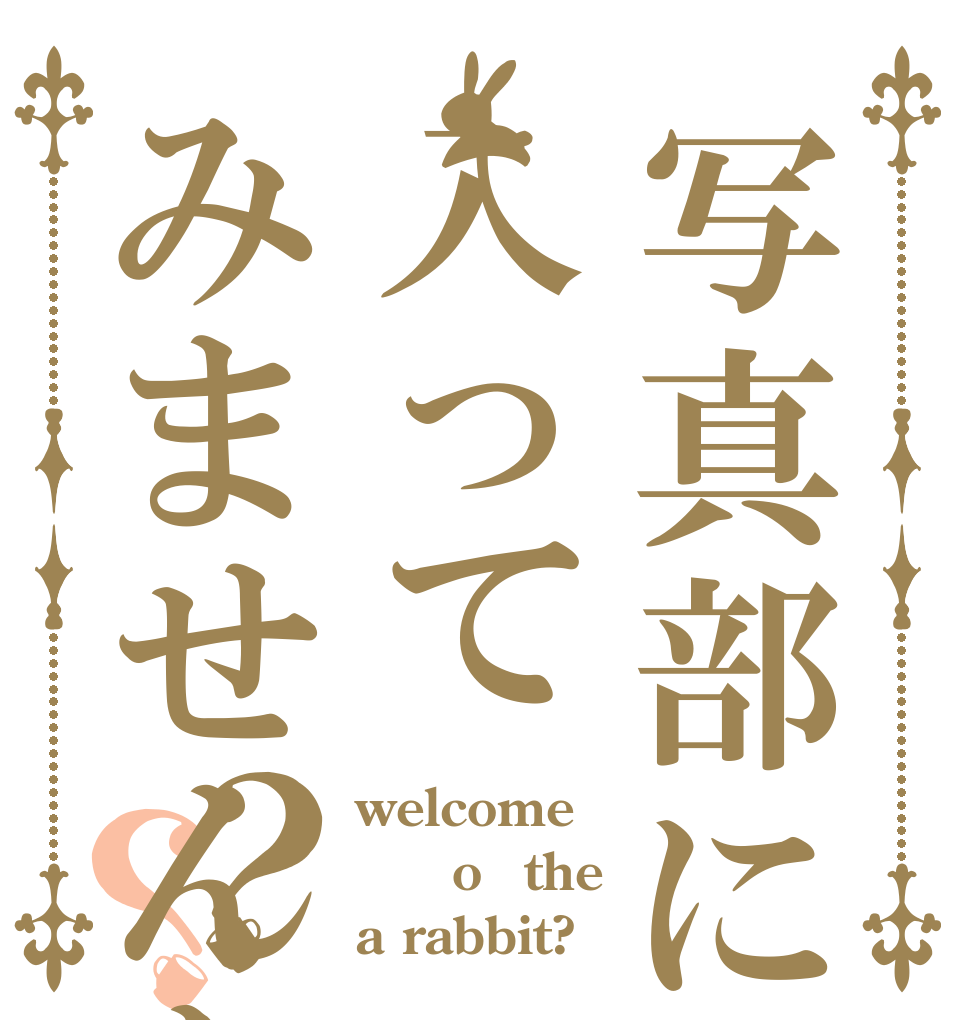 写真部に入ってみませんか？？ welcome ｔo　the a rabbit?