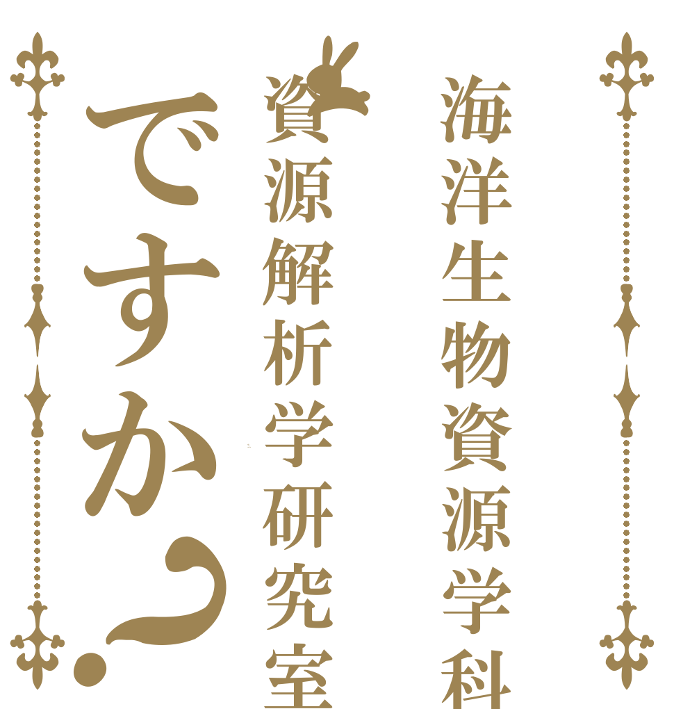 海洋生物資源学科資源解析学研究室ですか？ Is the order a rabbit?