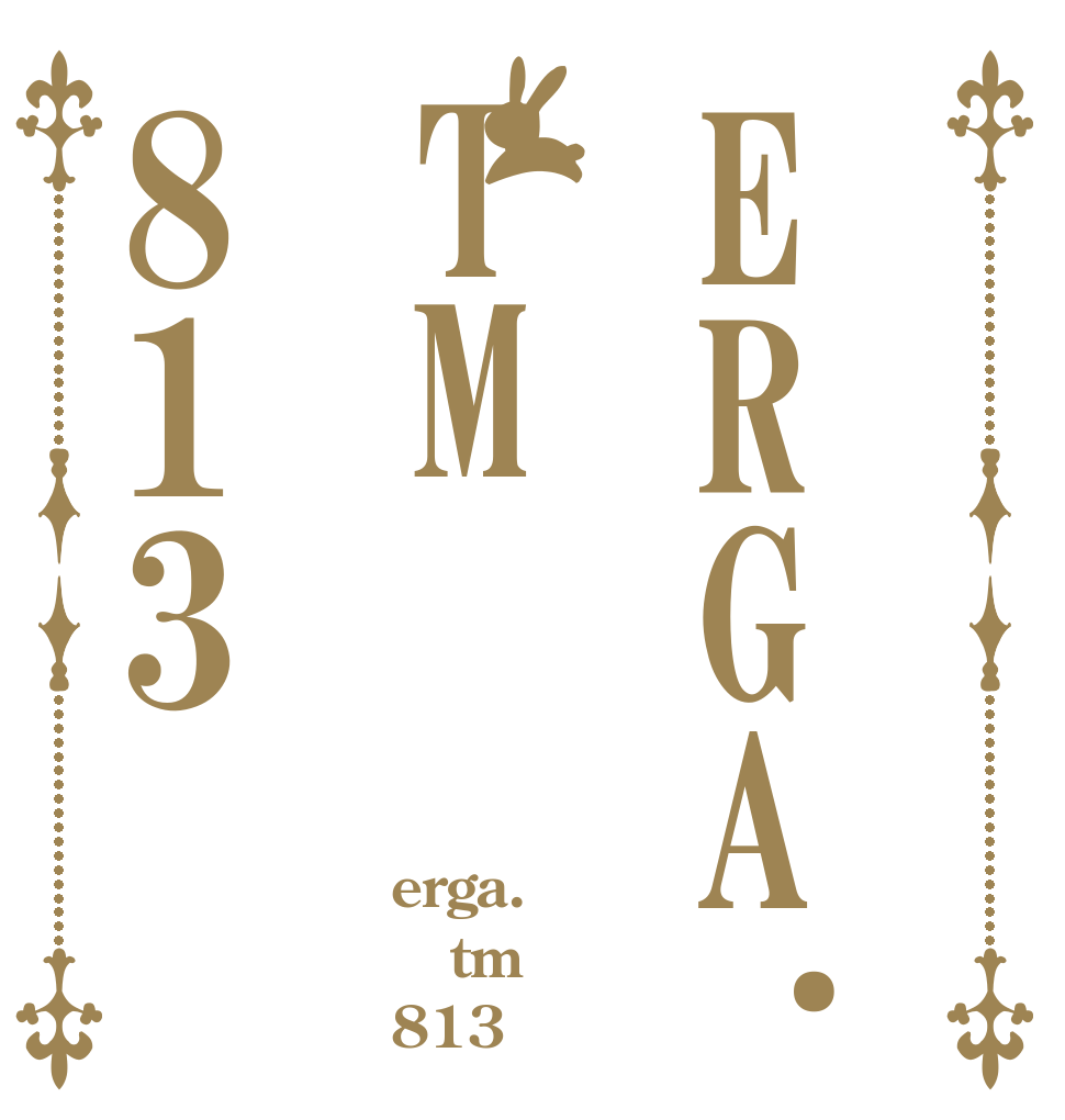 ERGA.TM813 erga. tm 813