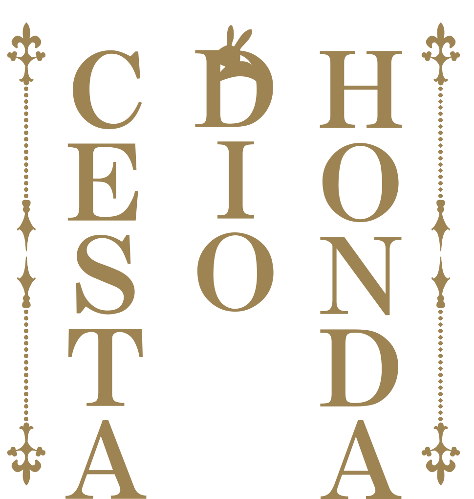 ＨＯＮＤＡＤＩＯＣＥＳＴＡ   