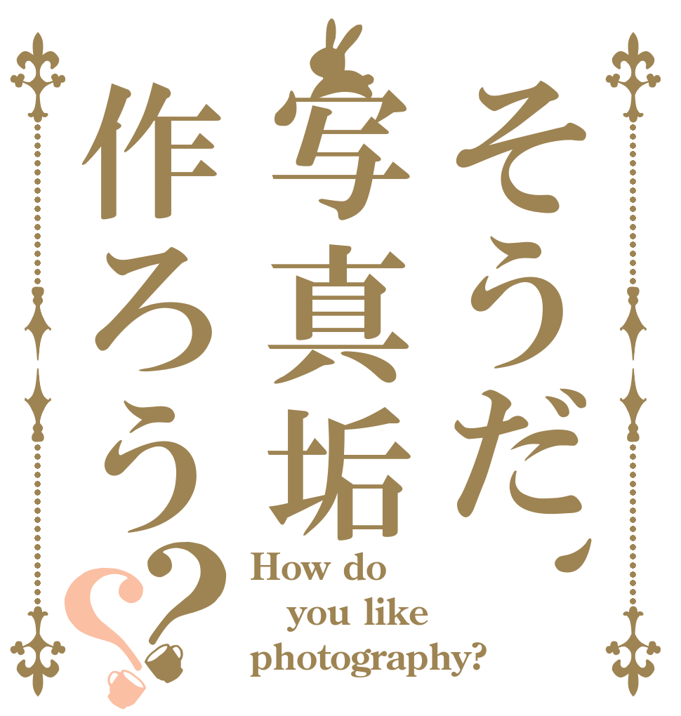 そうだ、写真垢作ろう？？ How do you like photography?