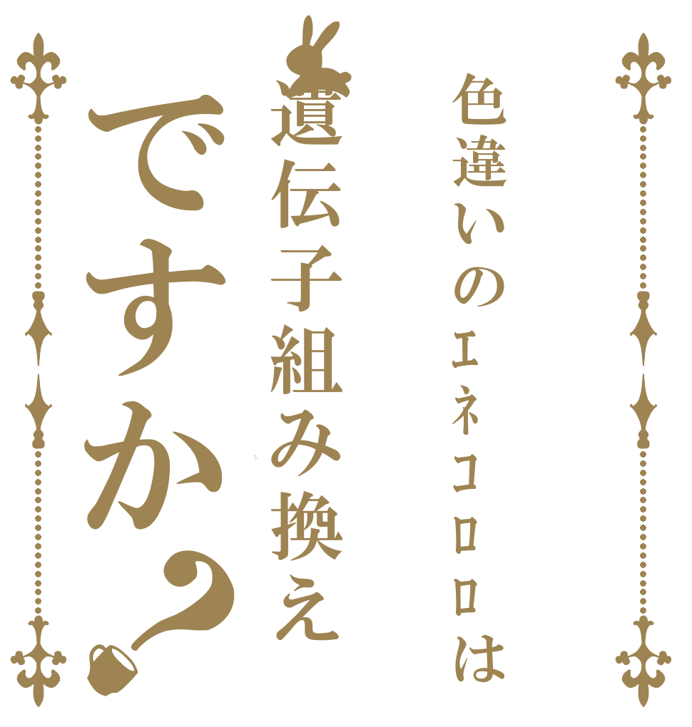 色違いのｴﾈｺﾛﾛは遺伝子組み換えですか？ Is the order a rabbit?