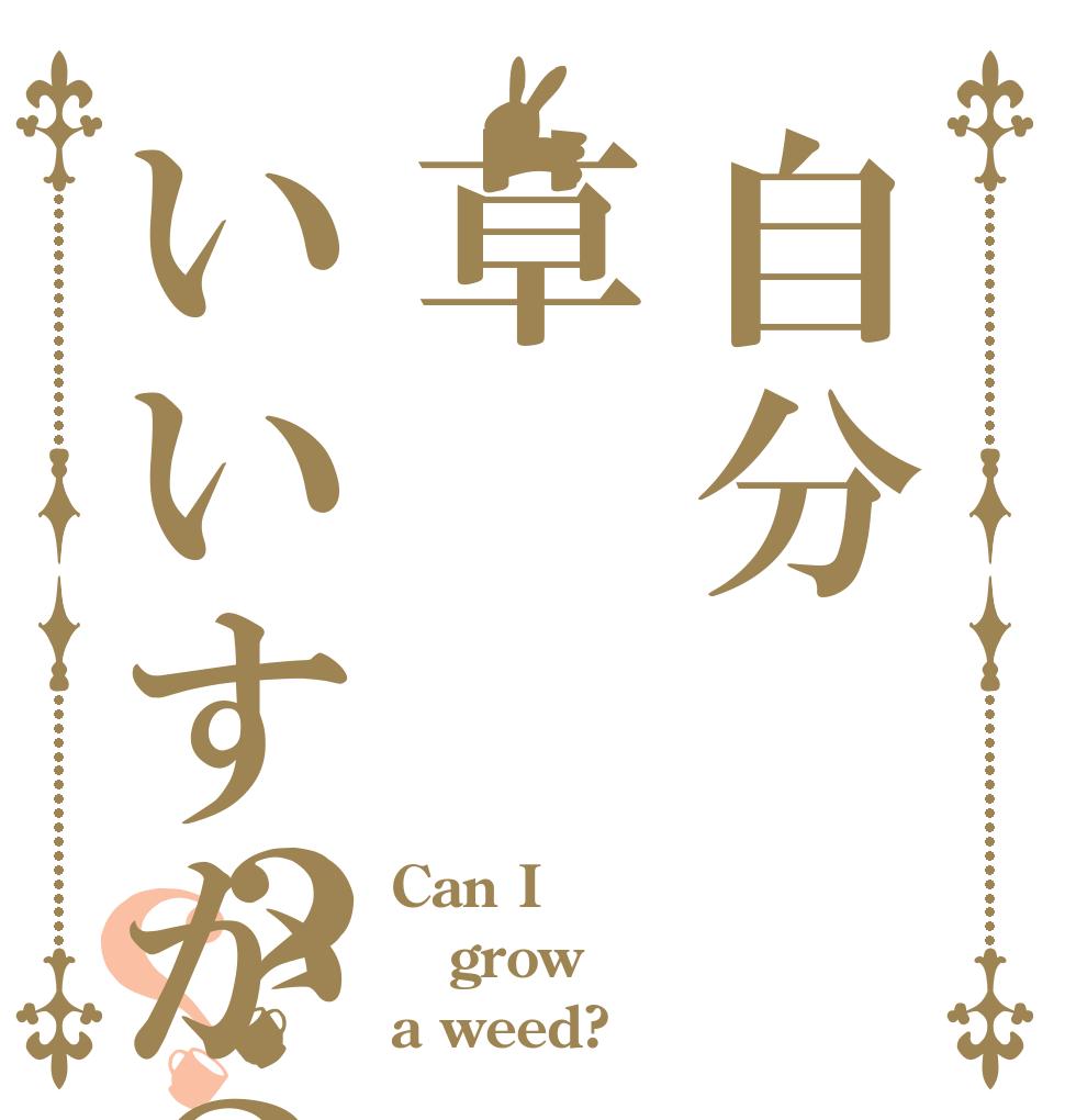 自分草いいすか？？？ Can I grow a weed?