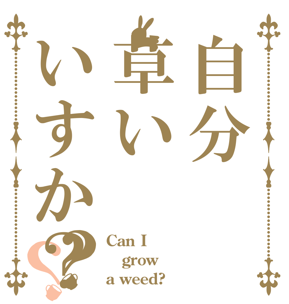 自分草いいすか？？？ Can I grow a weed?