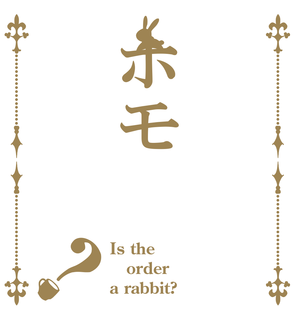 ホモ？ Is the order a rabbit?