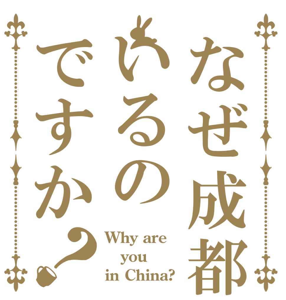 なぜ成都にいるのですか？ Why are you in China?