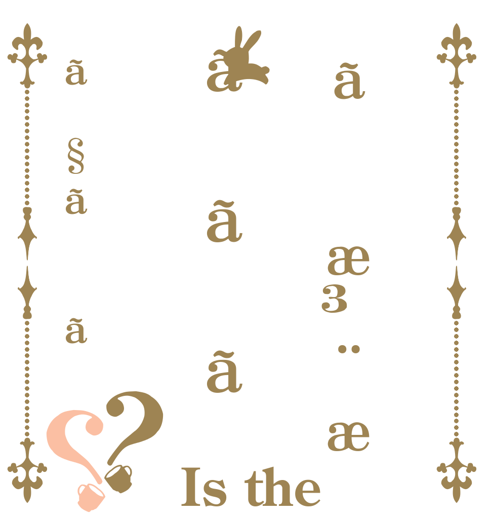 ãæ³¨æããããã§ãã？？ Is the order a rabbit?