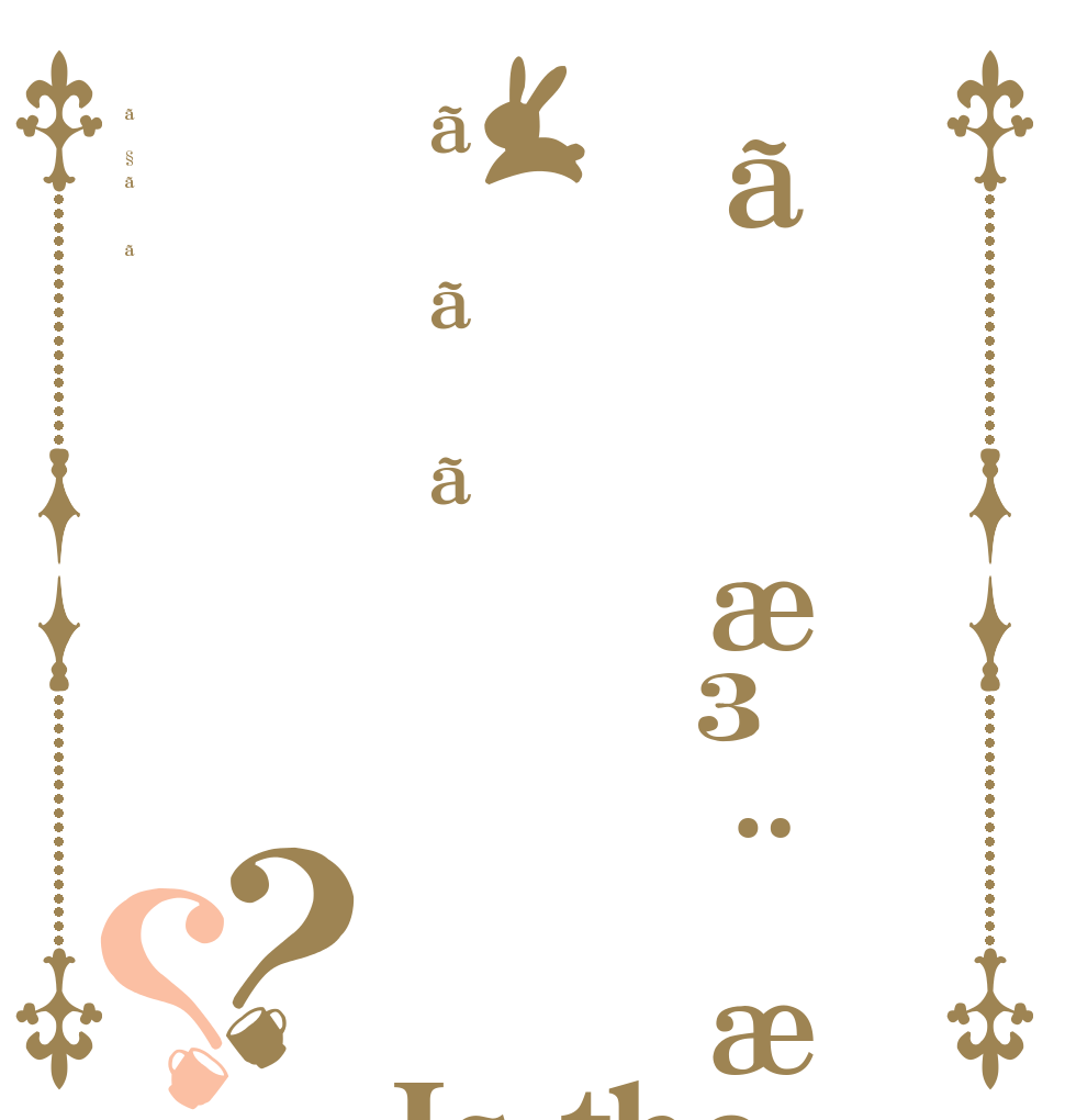 ãæ³¨æããããã§ãã？？ Is the order a rabbit?