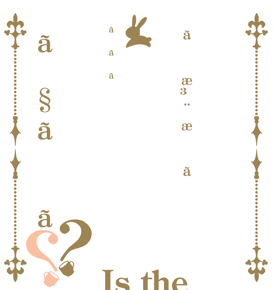 ãæ³¨æããããã§ãã？？ Is the order a rabbit?