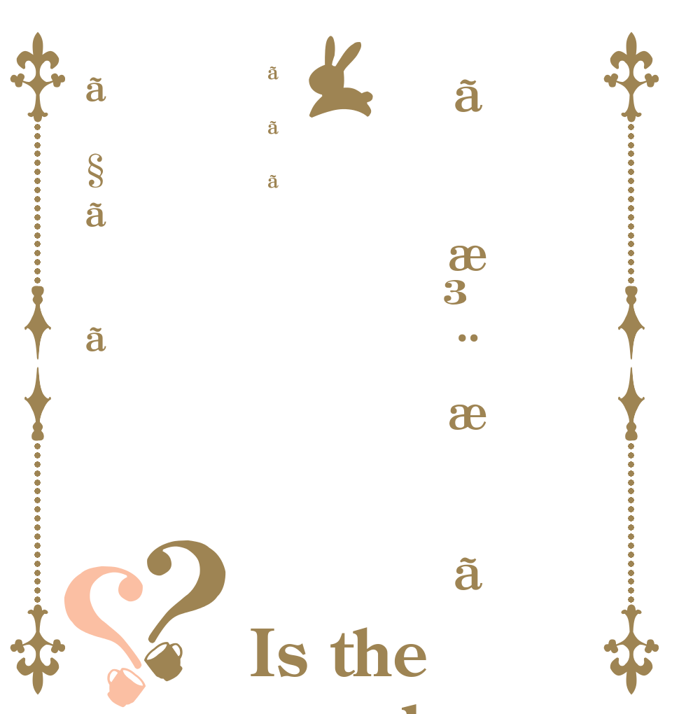 ãæ³¨æããããã§ãã？？ Is the order a rabbit?