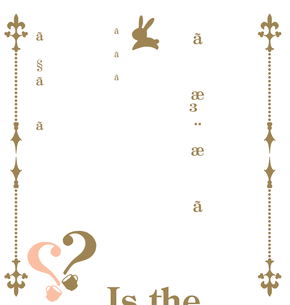 ãæ³¨æããããã§ãã？？ Is the order a rabbit?