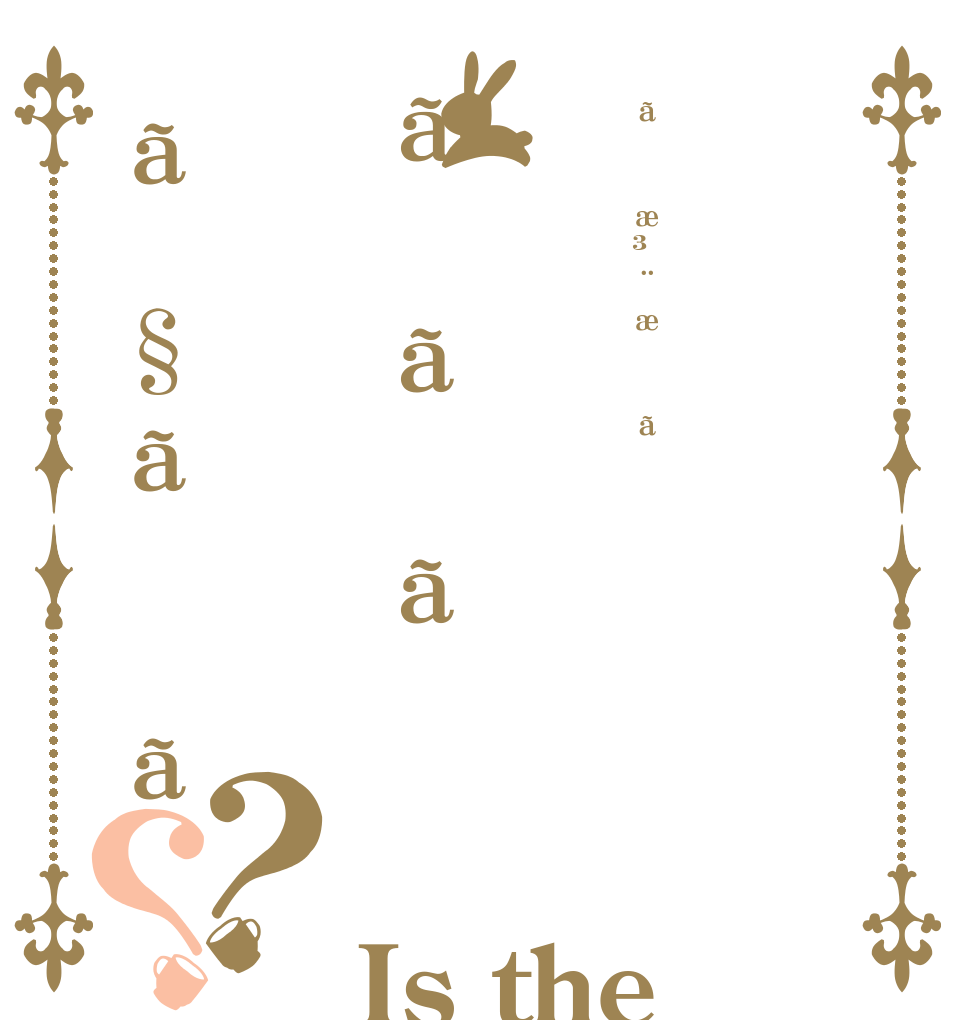 ãæ³¨æããããã§ãã？？ Is the order a rabbit?