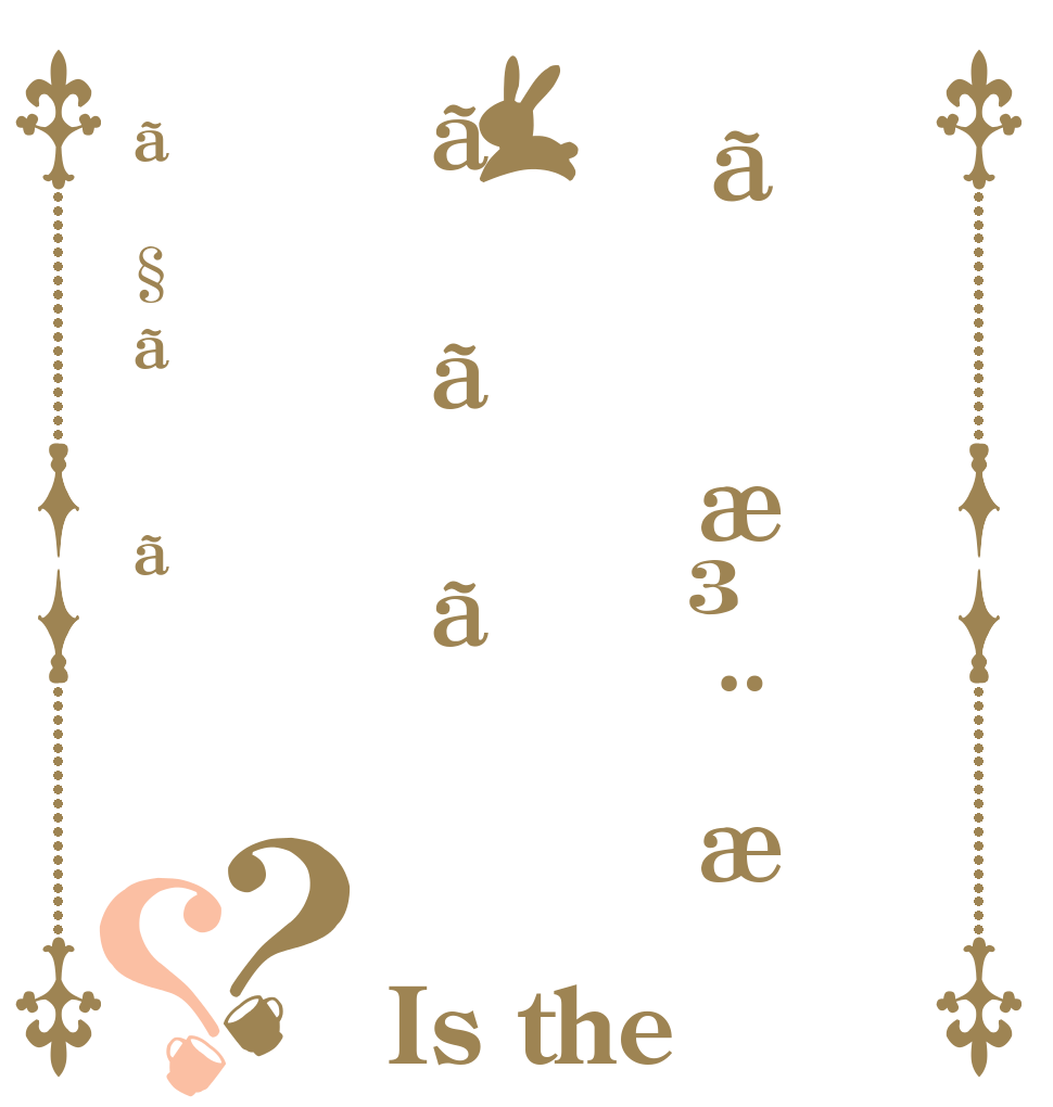 ãæ³¨æããããã§ãã？？ Is the order a rabbit?