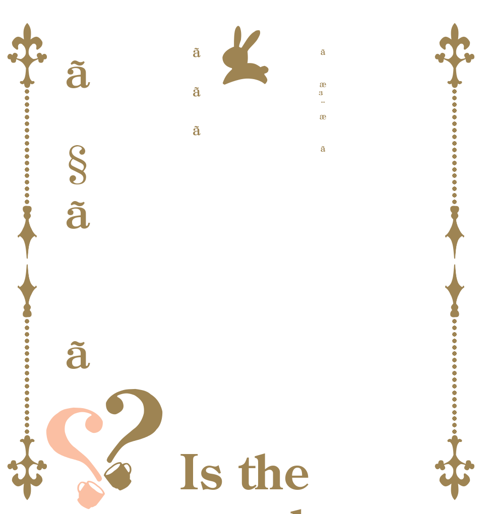 ãæ³¨æããããã§ãã？？ Is the order a rabbit?