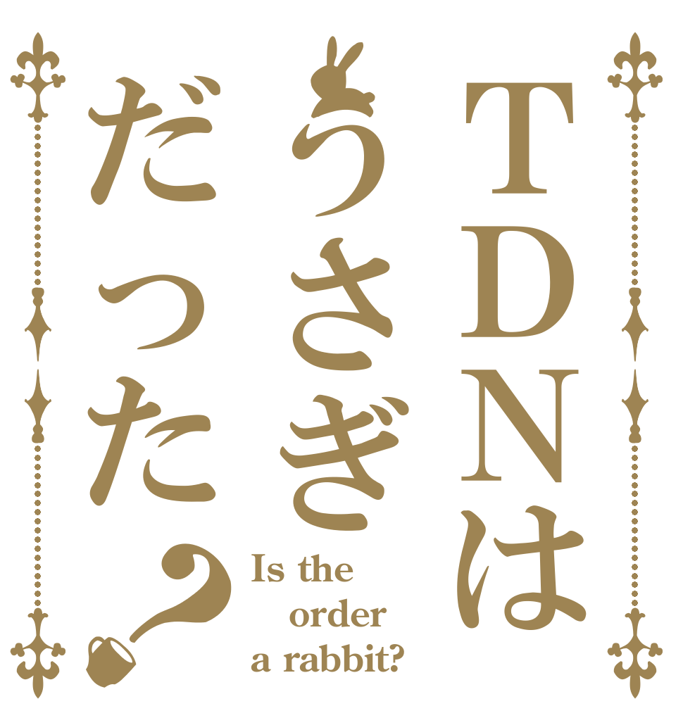 ＴＤＮはうさぎだった？ Is the order a rabbit?