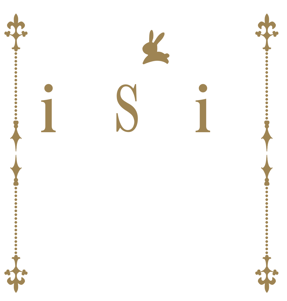  i S i   