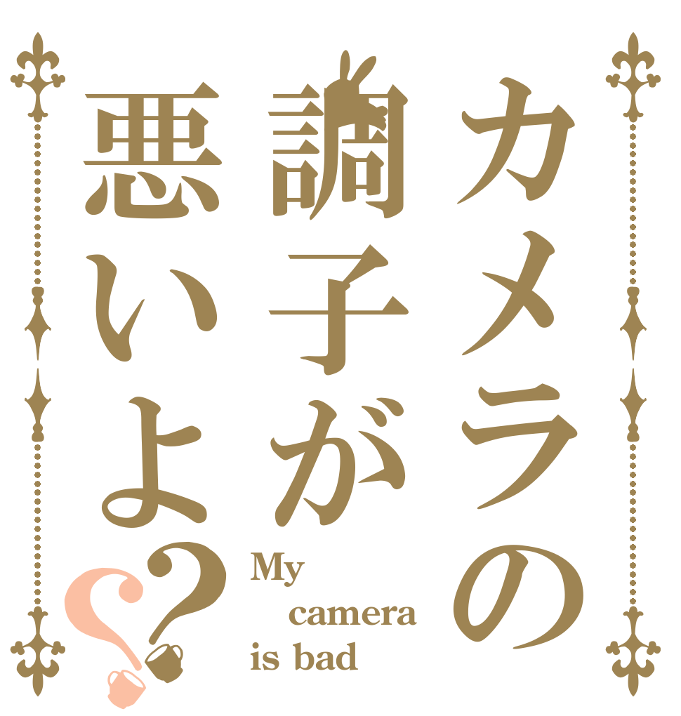 カメラの調子が悪いよ？？ My  camera is bad