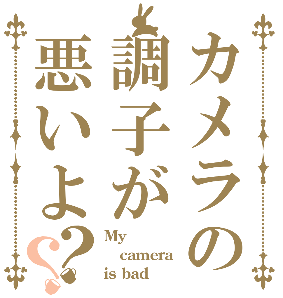 カメラの調子が悪いよ？？ My camera is bad